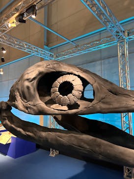 巨大恐竜展2024に投稿された画像（2024/10/23）