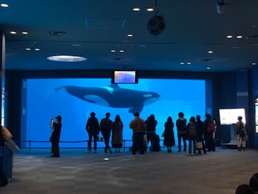 名古屋港水族館に投稿された画像（2024/10/23）