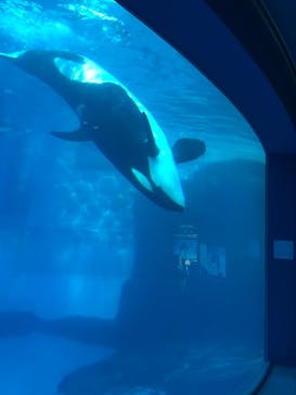 名古屋港水族館に投稿された画像（2024/10/23）