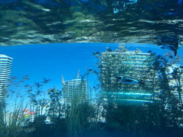 サンシャイン水族館に投稿された画像（2024/10/23）