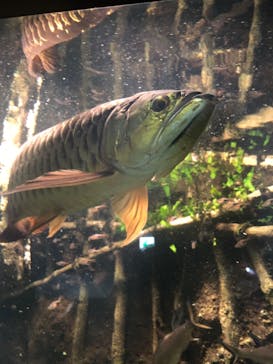 サンシャイン水族館に投稿された画像（2024/10/23）