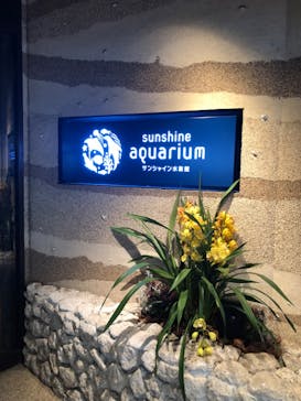 サンシャイン水族館に投稿された画像（2024/10/23）