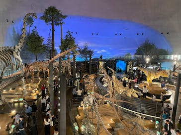 福井県立恐竜博物館に投稿された画像（2024/10/23）