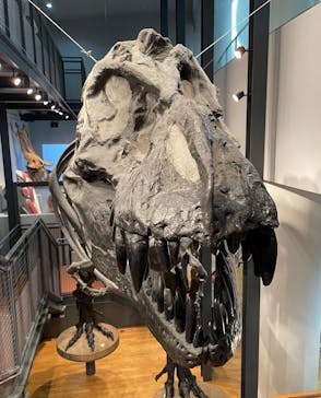 福井県立恐竜博物館に投稿された画像（2024/10/23）