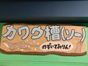 竹島水族館に投稿された画像（2024/10/23）