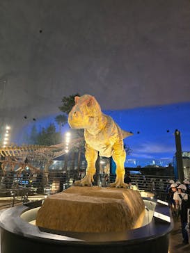 福井県立恐竜博物館に投稿された画像（2024/10/23）