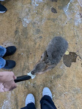 横浜・八景島シーパラダイスに投稿された画像（2024/10/23）