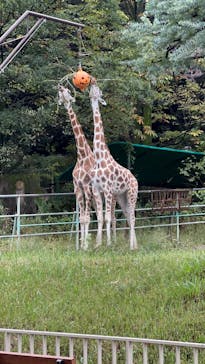 名古屋市東山動植物園に投稿された画像（2024/10/23）