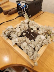 アカネス大須に投稿された画像（2024/10/23）