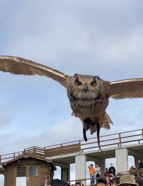 那須どうぶつ王国に投稿された画像（2024/10/23）