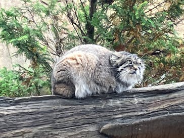 那須どうぶつ王国に投稿された画像（2024/10/23）