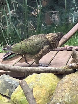 那須どうぶつ王国に投稿された画像（2024/10/23）