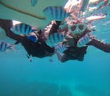 青の洞窟専門店　沖縄ダイビングショップ和に投稿された画像（2024/10/23）