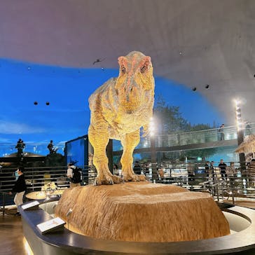 福井県立恐竜博物館に投稿された画像（2024/10/23）