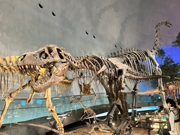福井県立恐竜博物館に投稿された画像（2024/10/23）