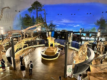 福井県立恐竜博物館に投稿された画像（2024/10/23）