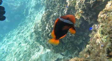 All Blue（オールブルー）に投稿された画像（2024/10/23）