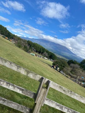 まかいの牧場に投稿された画像（2024/10/22）