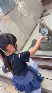 横浜・八景島シーパラダイスに投稿された画像（2024/10/23）