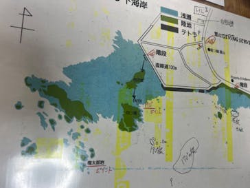 葉山ダイビングサービスに投稿された画像（2024/10/22）