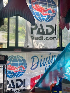 葉山ダイビングサービスに投稿された画像（2024/10/22）