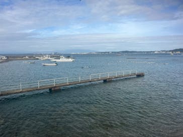 葉山ダイビングサービスに投稿された画像（2024/10/22）