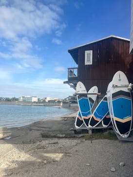 葉山ダイビングサービスに投稿された画像（2024/10/22）