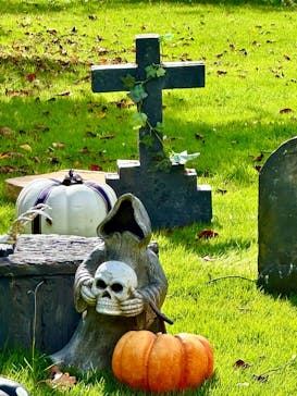 横浜イングリッシュガーデンに投稿された画像（2024/10/23）