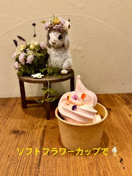 横浜イングリッシュガーデンに投稿された画像（2024/10/23）