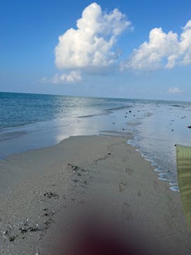 YUKAALA marineに投稿された画像（2024/10/23）