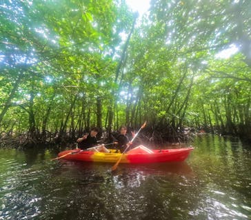 西表島 ADVENTURE PiPi（アドベンチャーピピ）に投稿された画像（2024/10/23）