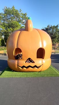 鈴鹿サーキットに投稿された画像（2024/10/23）