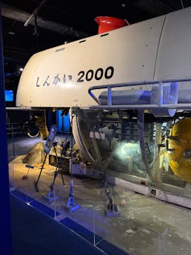 新江ノ島水族館に投稿された画像（2024/10/24）