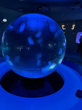 新江ノ島水族館に投稿された画像（2024/10/24）