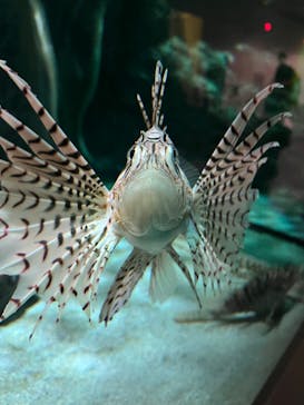 名古屋港水族館に投稿された画像（2024/10/24）