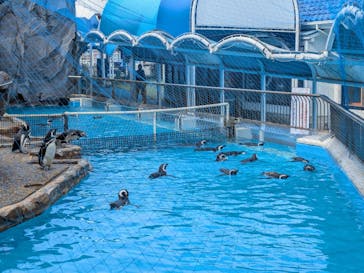 のとじま水族館に投稿された画像（2024/10/24）