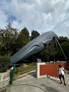 国立科学博物館に投稿された画像（2024/10/24）