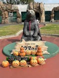 東武動物公園に投稿された画像（2024/10/24）