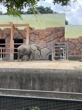 東武動物公園に投稿された画像（2024/10/24）
