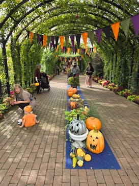 横浜イングリッシュガーデンに投稿された画像（2024/10/24）