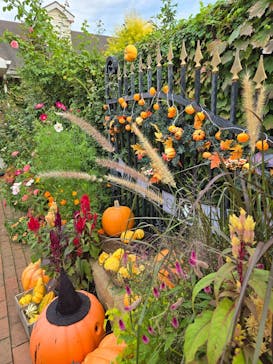 横浜イングリッシュガーデンに投稿された画像（2024/10/24）