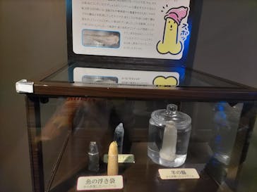 サンシャイン水族館に投稿された画像（2024/10/24）