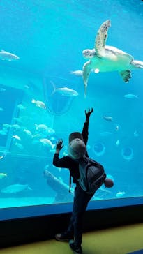 箱根園水族館に投稿された画像（2024/10/24）
