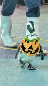 箱根園水族館に投稿された画像（2024/10/24）