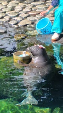 箱根園水族館に投稿された画像（2024/10/24）