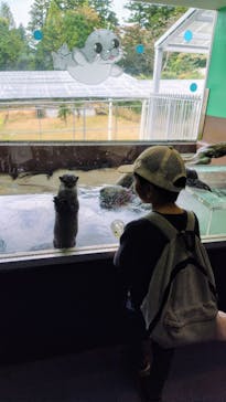 箱根園水族館に投稿された画像（2024/10/24）