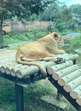 多摩動物公園に投稿された画像（2024/10/24）