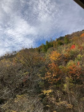 あだたら高原リゾートに投稿された画像（2024/10/24）