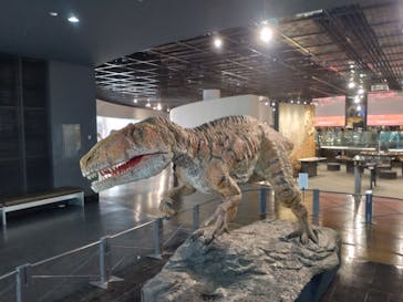 福井県立恐竜博物館に投稿された画像（2024/10/24）