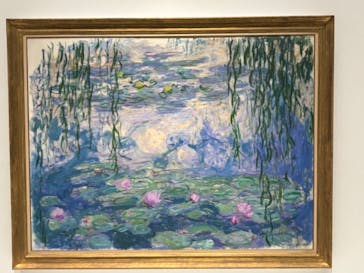モネ 睡蓮のとき（国立西洋美術館）に投稿された画像（2024/10/24）